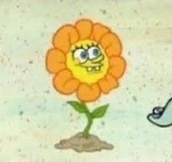 flowerbob Meme Template