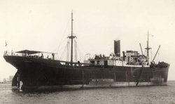 Yugoslavian Steam Merchant Meme Template