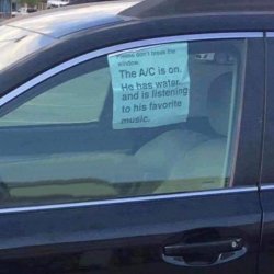 a/c on dog in car Meme Template