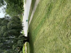 Electric mower Meme Template