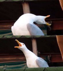 RAMON IS DEAD Meme Template