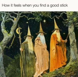 Good stick Meme Template