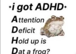 i got adh is that a frog? Meme Template