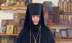 Serafima Shevchik Meme Template