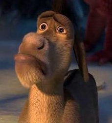 Donkey is sad Meme Template