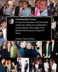 Trump Epstein pedophiles List coverup Elon Musk Meme Template
