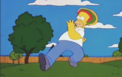 Homer Meme Template