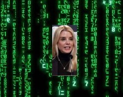 pam matrix Meme Template