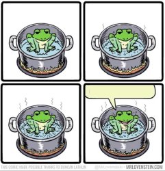 Frog in the pot Meme Template