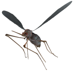 Fallout 4 Bloodbug Meme Template