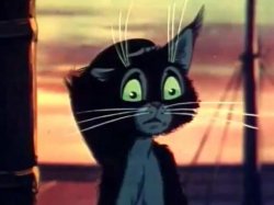 Desperate Cat Vaska Meme Template