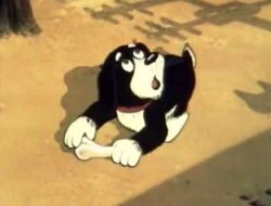 Desperate Cat Vaska Meme Template