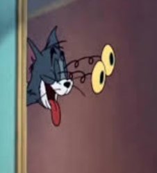 Tom spotting ladies Meme Template
