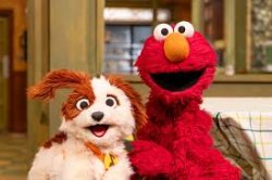 elmo and dog Meme Template
