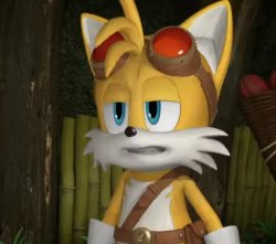 tails why Meme Template