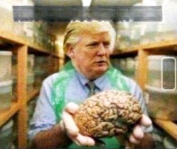 We found Trump's brain, not inside his head, but in a jar. Meme Template