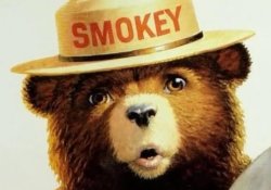 Smokey Meme Template
