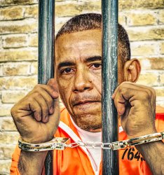 Obama behind bars Meme Template