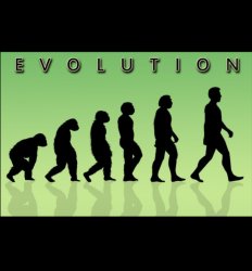 Evolution Meme Template