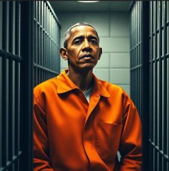 Obama in Prison 2 Meme Template