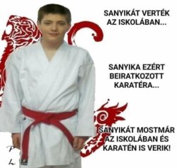 Karate kölyök Meme Template