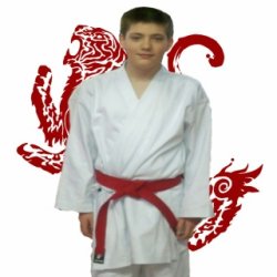 Shotokan Meme Template