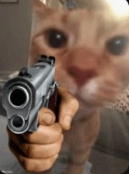 Cat with gun Meme Template