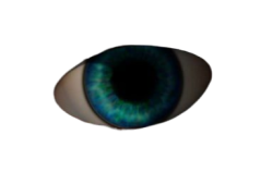 Frittata blue eye Meme Template