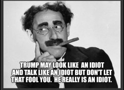 Trump idiot Meme Template