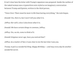 Trump <3 Epstein Meme Template