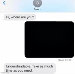 Understandable take as much time as you need Meme Template