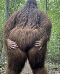 Bigfoot Meme Template