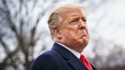 Donald Trump Crying Meme Template