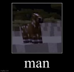 man Meme Template