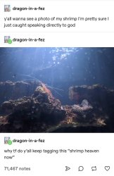 Shrimp heaven now Meme Template