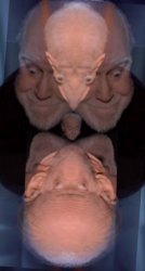George Carlin Looking UpDown At Us Meme Template