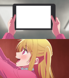 Ruby looking at ipad screen Meme Template