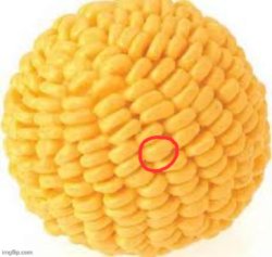 cornball except one of the kernels are circled Meme Template