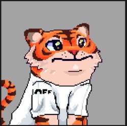 tigerpunks Meme Template