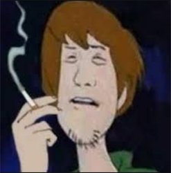 Shaggy Meme Template