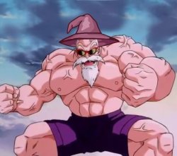 Master Roshi Wizard Meme Template