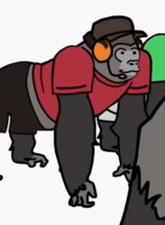 Gorilla scout Meme Template