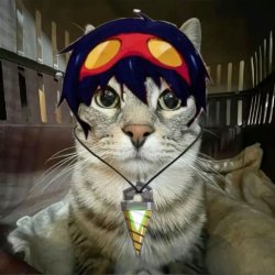Simon but cat stare Meme Template