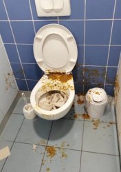 Toilet Meme Template