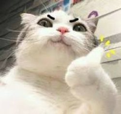 Thumb Up Cat Meme Template