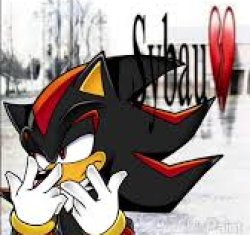 Shadow SYBAU Meme Template