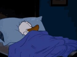 Donald Duck Sleeping Meme Template