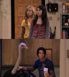 Spencer smoothie blank Meme Template
