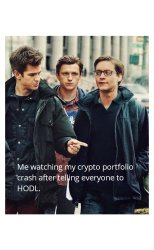 HODL meme Meme Template