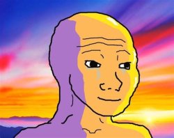 Sunshine Wojak Meme Template